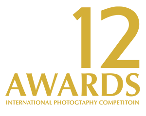 12 Awards logo