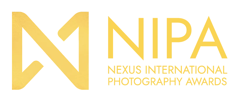 NIPA logo